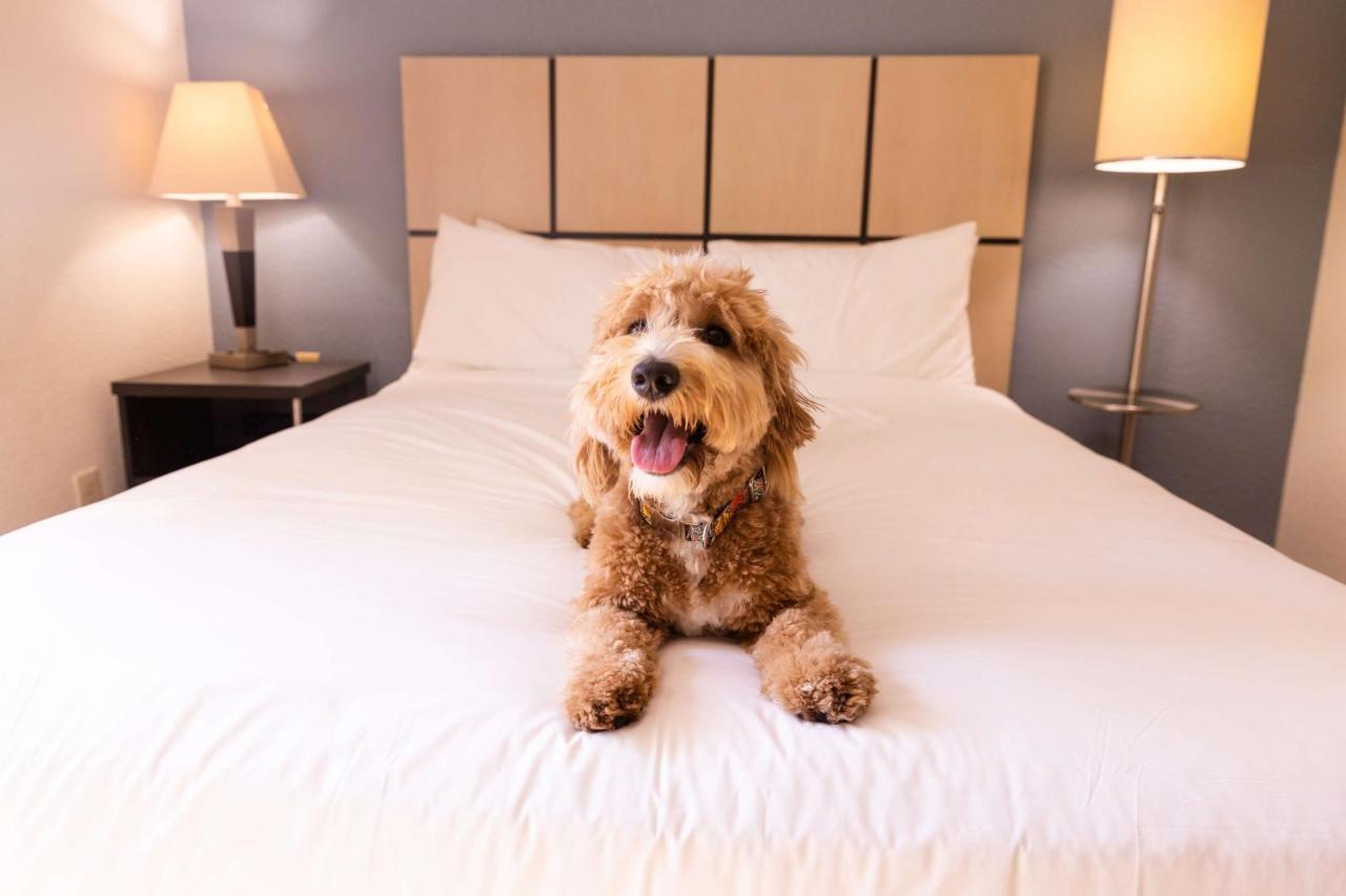 Sonesta Simply Suites Birmingham Hoover Ngoại thất bức ảnh